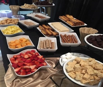 Chocolate Fountain Catering Dippers